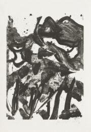 The Marshes by Willem De Kooning at Susan Sheehan Gallery