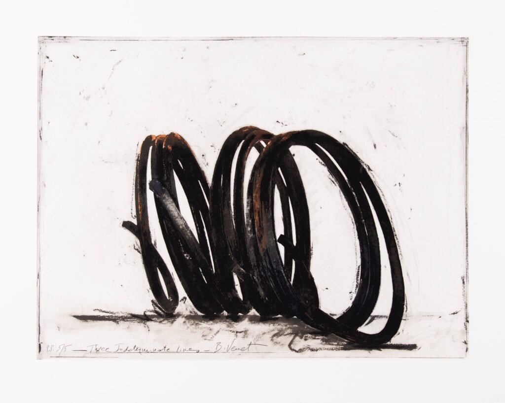 Three Indeterminate Lines, Bernar Venet, ebo Gallery