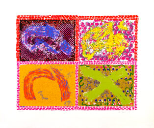 Untitled by Nancy Graves at Lincoln Center Editions