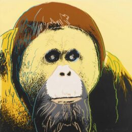 Orangutan by Andy Warhol at Dovehouse Contemporary