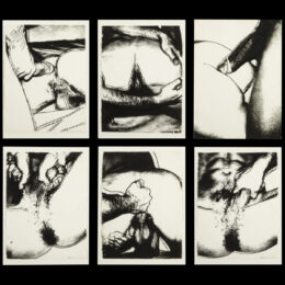 Sex Parts Complete Portfolio (FS II.172-177) by Andy Warhol at Revolver Gallery