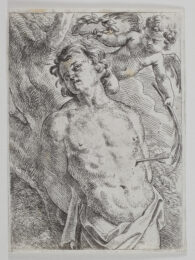 St Sebastian by Cornelis Schut at Sarah Sauvin