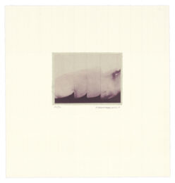 Wave by Suzanne Caporael at Tandem Press (IFPDA)