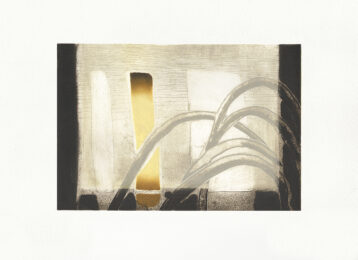 Amaryllis by Katherine Jones at Aspinwall Editions