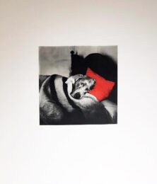 Cinderella Sleeping by William Wegman at Hamilton-Selway Fine Art