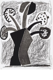 Growing by David Hockney at Clifton Gallery