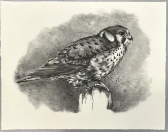 In the Pearl Grey Mist by Jennifer Anderson at Flatbed Press and Gallery