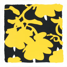 Lantern Flowers – Yellow/Black Background by Donald Sultan at Hamilton-Selway Fine Art