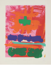 Sangora by Albert Irvin at Clifton Gallery