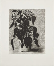 Sunflowers ll by David Hockney at Clifton Gallery