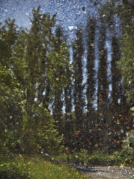 Tent-Camera Image: Poplars by the Oise River #1, Auvers, France by Abelardo Morell at Krakow Witkin Gallery