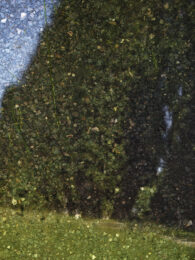 Tent-Camera Image: Poplars by the Oise River #3, Auvers, France by Abelardo Morell at Krakow Witkin Gallery