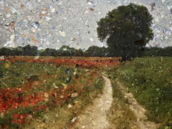 Tent-Camera Image: Poppy Field #1, Near Vetheuil, France by Abelardo Morell at Krakow Witkin Gallery