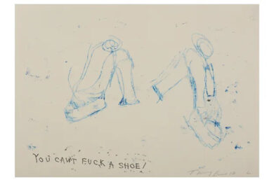 You Can’t Fuck A Shoe by Tracey Emin at Clifton Gallery