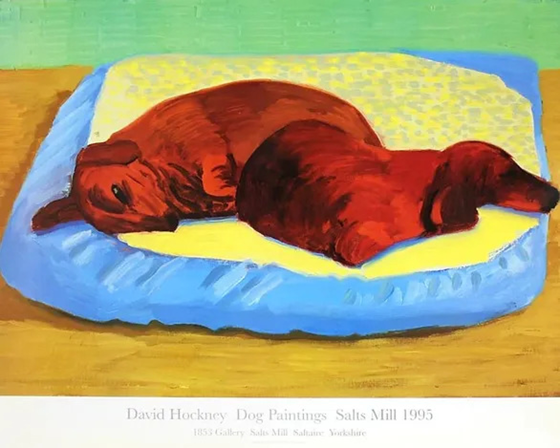 Dog 43 by David Hockney
