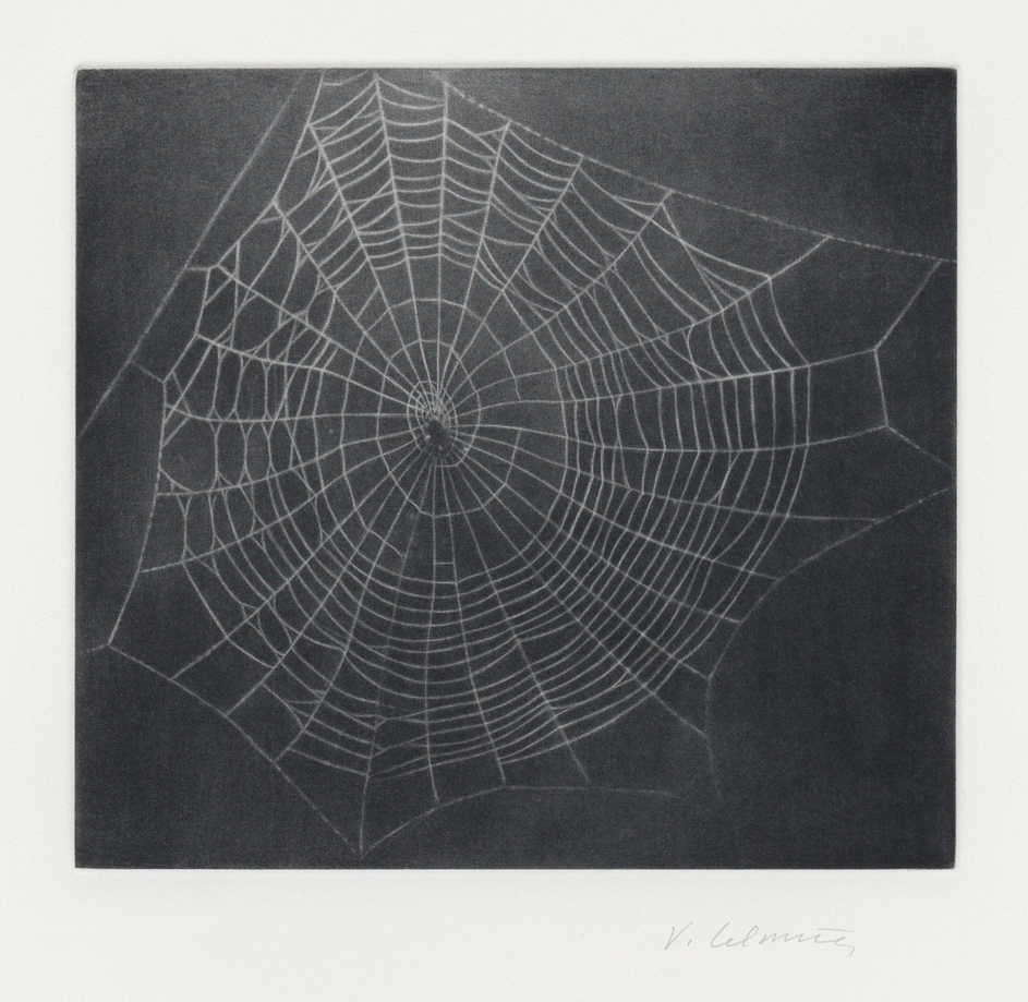 Untitled (Web 1) by Vija Celmins