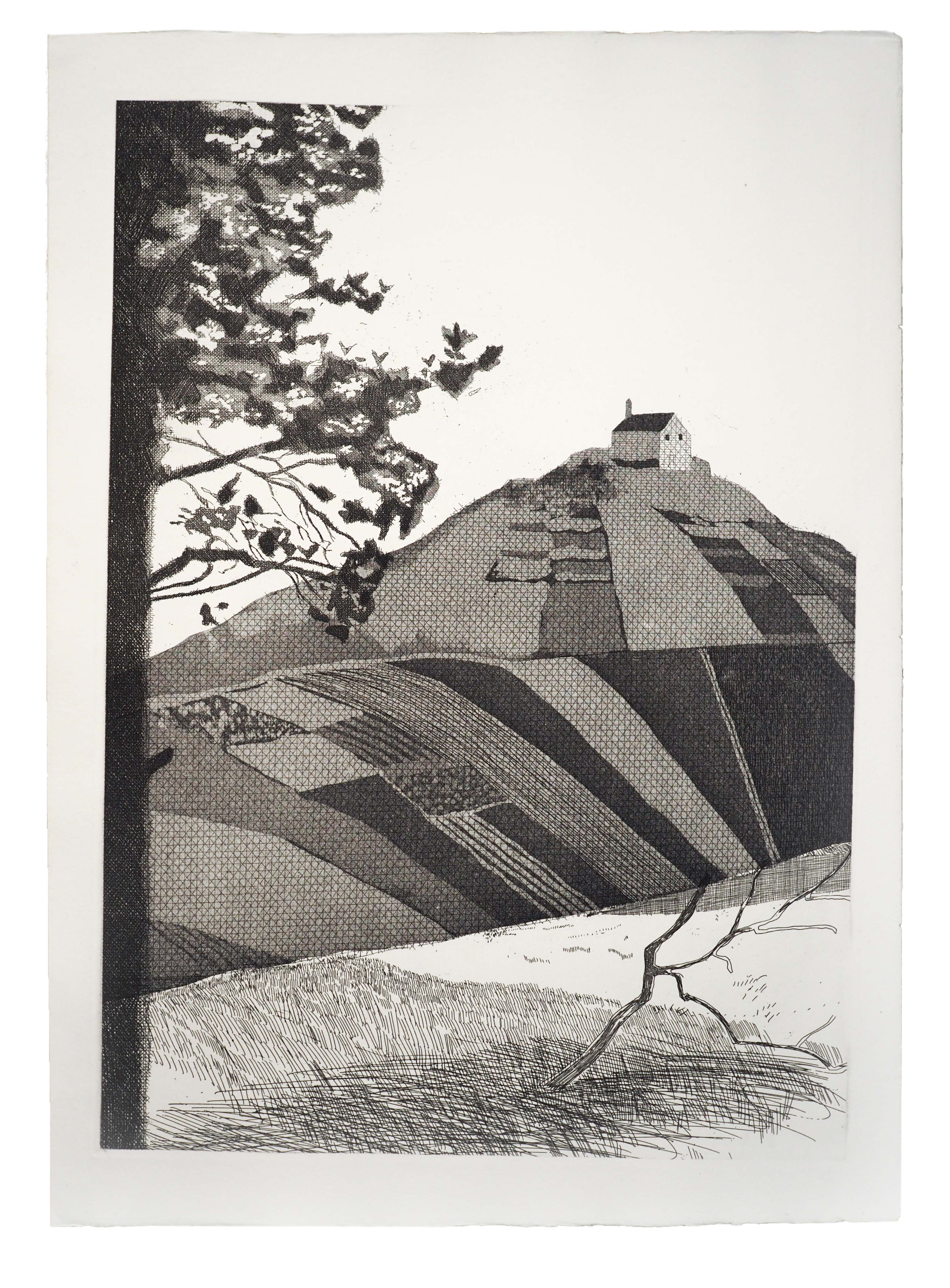 A wooded landscape by David Hockney