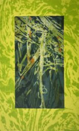 Counter Currents #16 by Catherine Kernan at VanDeb Editions