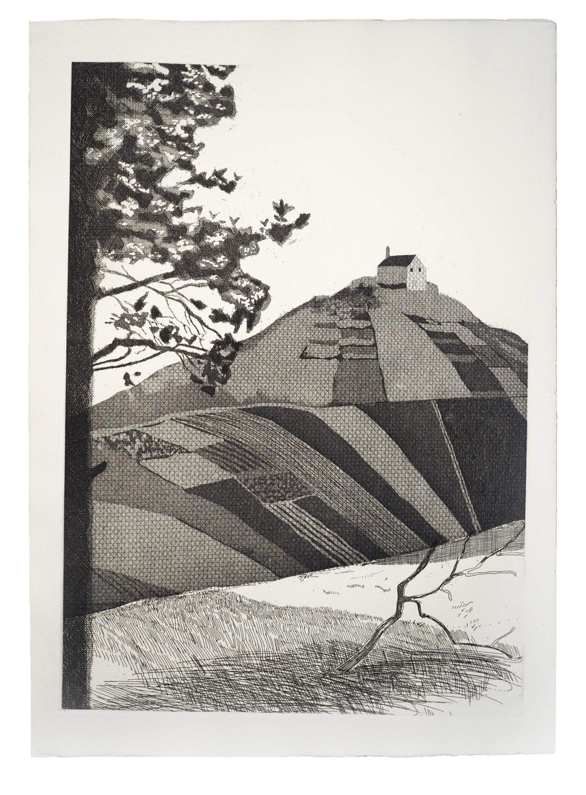 A wooded landscape by David Hockney