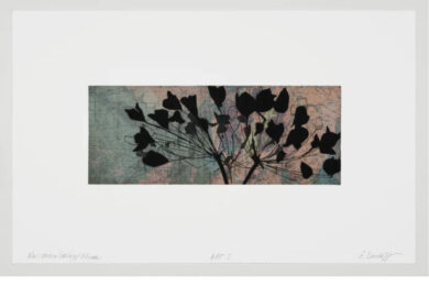 New Mexico Geology | Allium by Suzi Davidoff at Flatbed Press and Gallery