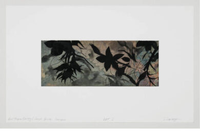 New Mexico Geology | Sancti-Spiritos Ipomopsis by Suzi Davidoff at Flatbed Press and Gallery