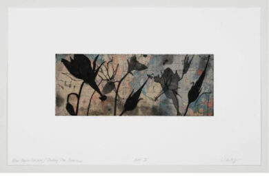 New Mexico Geology | Shooting Star Geranium by Suzi Davidoff at Flatbed Press and Gallery
