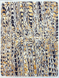 Saccades by James Siena at Jim Kempner Fine Art