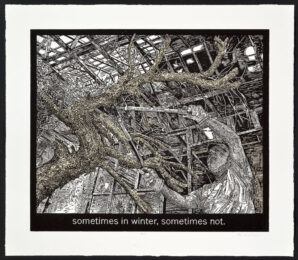 Sometimes In Winter, Sometimes Not by Alice Leora Briggs at Flatbed Press and Gallery
