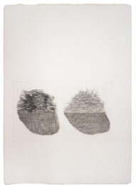 Straw on the Left, Gold on the Right by David Hockney at Sims Reed Gallery (IFPDA)