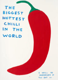 The Biggest Hottest Chilli In The World by David Shrigley at Clifton Gallery