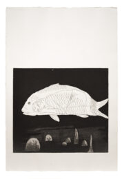 The Boy Hidden in a Fish by David Hockney at Sims Reed Gallery (IFPDA)