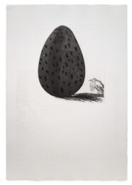 The Boy Hidden in an Egg by David Hockney at Sims Reed Gallery (IFPDA)
