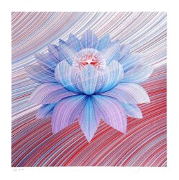 Unity – Obey Flower by Kai & Sunny x Shepard Fairey (Obey) at Dovehouse Contemporary