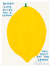 When Life Gives You A Lemon by David Shrigley at Clifton Gallery