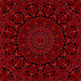 H10-4 Suiko by Damien Hirst at Hamilton-Selway Fine Art