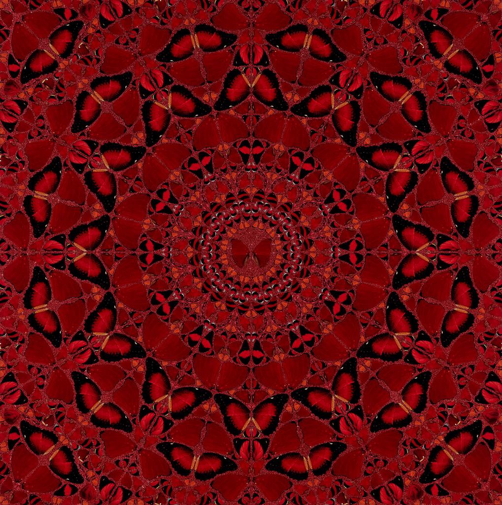 H10-4 Suiko by Damien Hirst