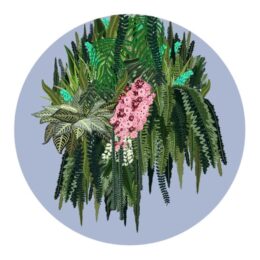 Little Garden by Benjamin Thomas Taylor at Dovehouse Contemporary