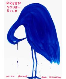 Preen Yourself by David Shrigley at Dovehouse Contemporary