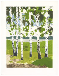Reconstruction (Helsinki) by Blaise Drummond at Stoney Road Press