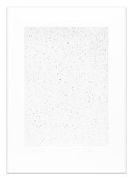 Reverse Galaxy by Vija Celmins at Krakow Witkin Gallery