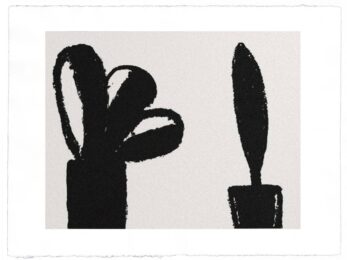 Spanish Plants by William Crozier at Stoney Road Press