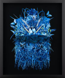 ‘Lunar’ by Jana Nicole by Jana Nicole at Harwood King Printmakers