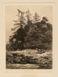 Daims dans un Parc by Karl Bodmer at Chicago Fine Prints