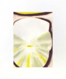 Drop Shadow by Katherine Jones at Sims Reed Gallery (IFPDA)