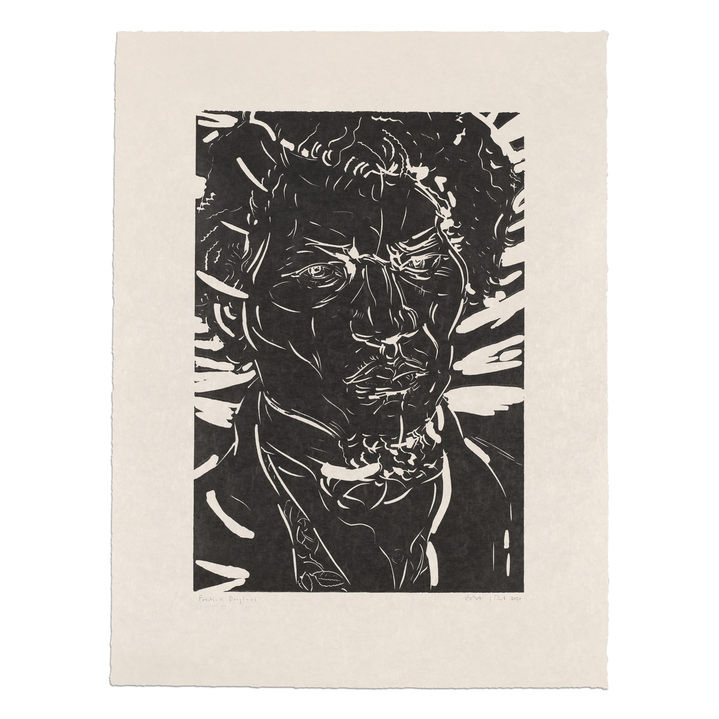 Frederick Douglass by Elizabeth Peyton