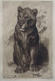 Lionne du Sénégal by Auguste Lançon at Sylvan Cole Gallery