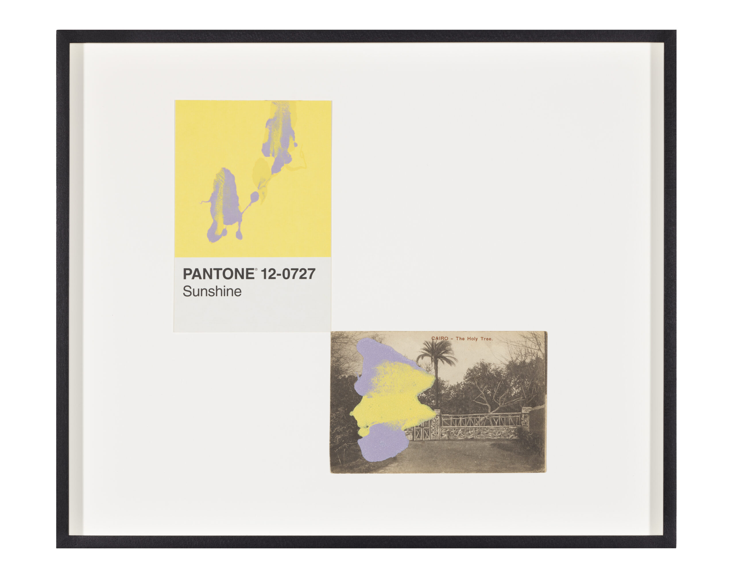 Pantone Pair (Sunshine) by Tacita Dean