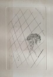 Au cirque by Pablo Picasso at Sylvan Cole Gallery