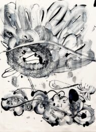 Black Garden #12 by Catherine Howe at Manneken Press (IFPDA)