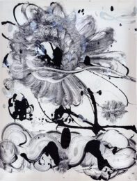 Black Garden #15 by Catherine Howe at Manneken Press (IFPDA)